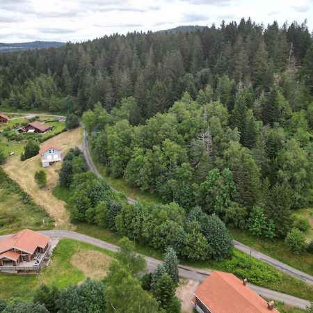Chalet L'Appel De La Foret Gérardmer Dış mekan fotoğraf