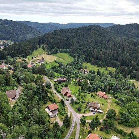 Chalet L'Appel De La Foret Gérardmer Dış mekan fotoğraf