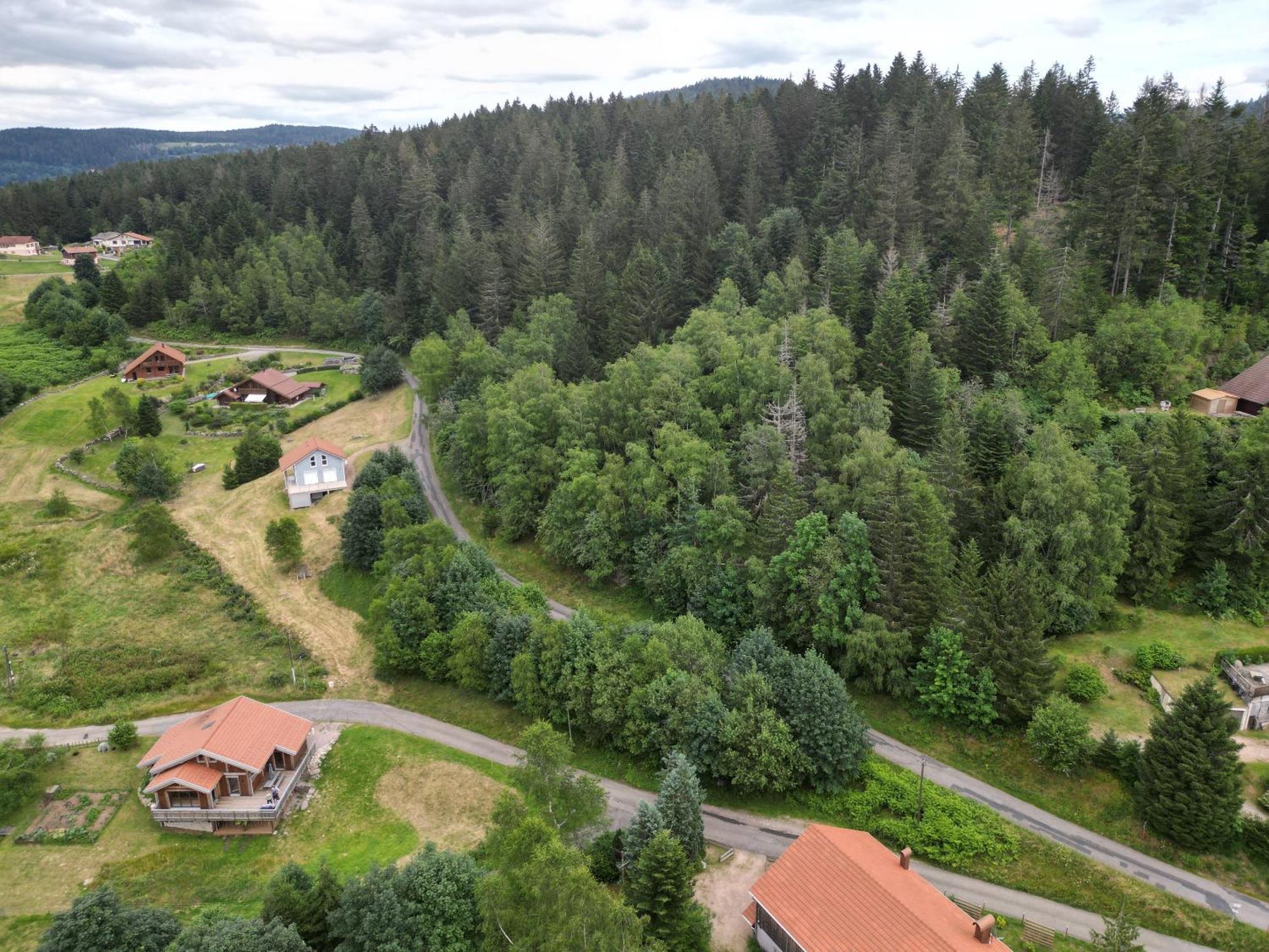 Chalet L'Appel De La Foret Gérardmer Dış mekan fotoğraf