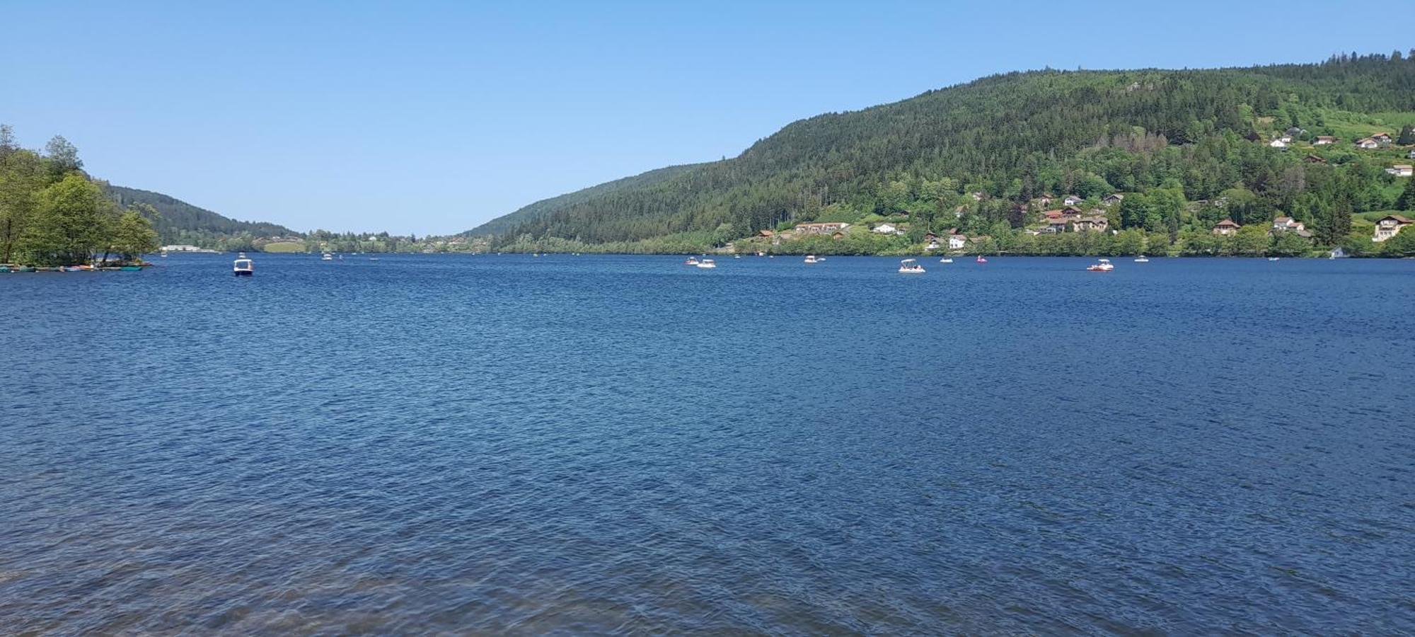 Chalet L'Appel De La Foret Gérardmer Dış mekan fotoğraf