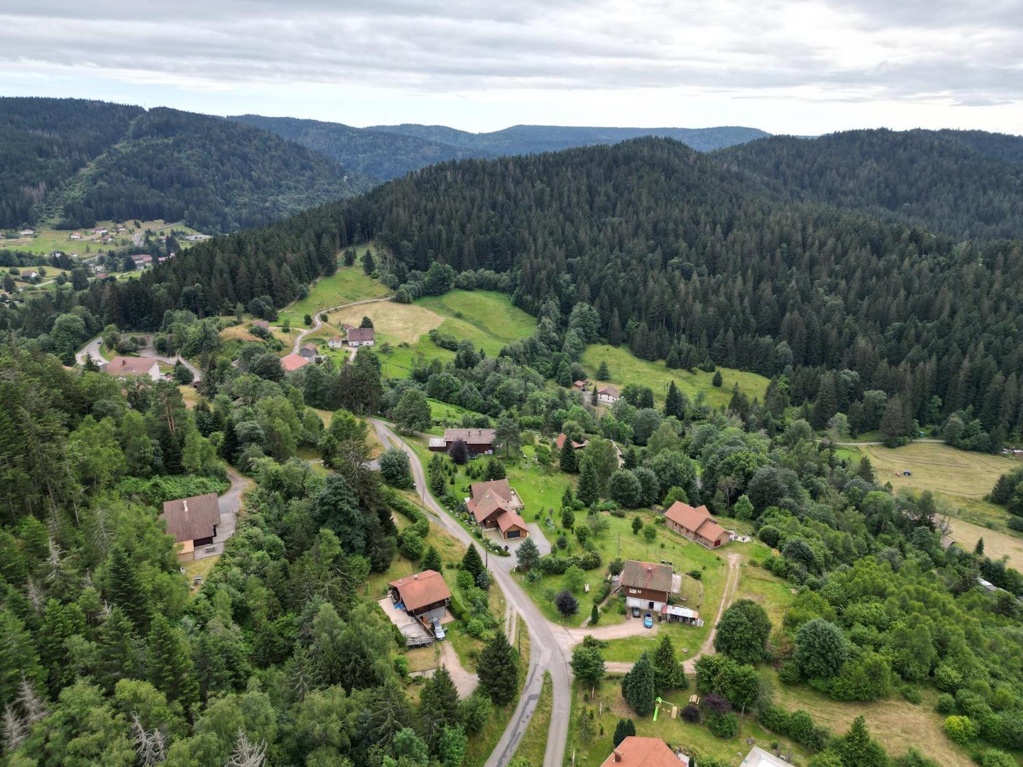 Chalet L'Appel De La Foret Gérardmer Dış mekan fotoğraf