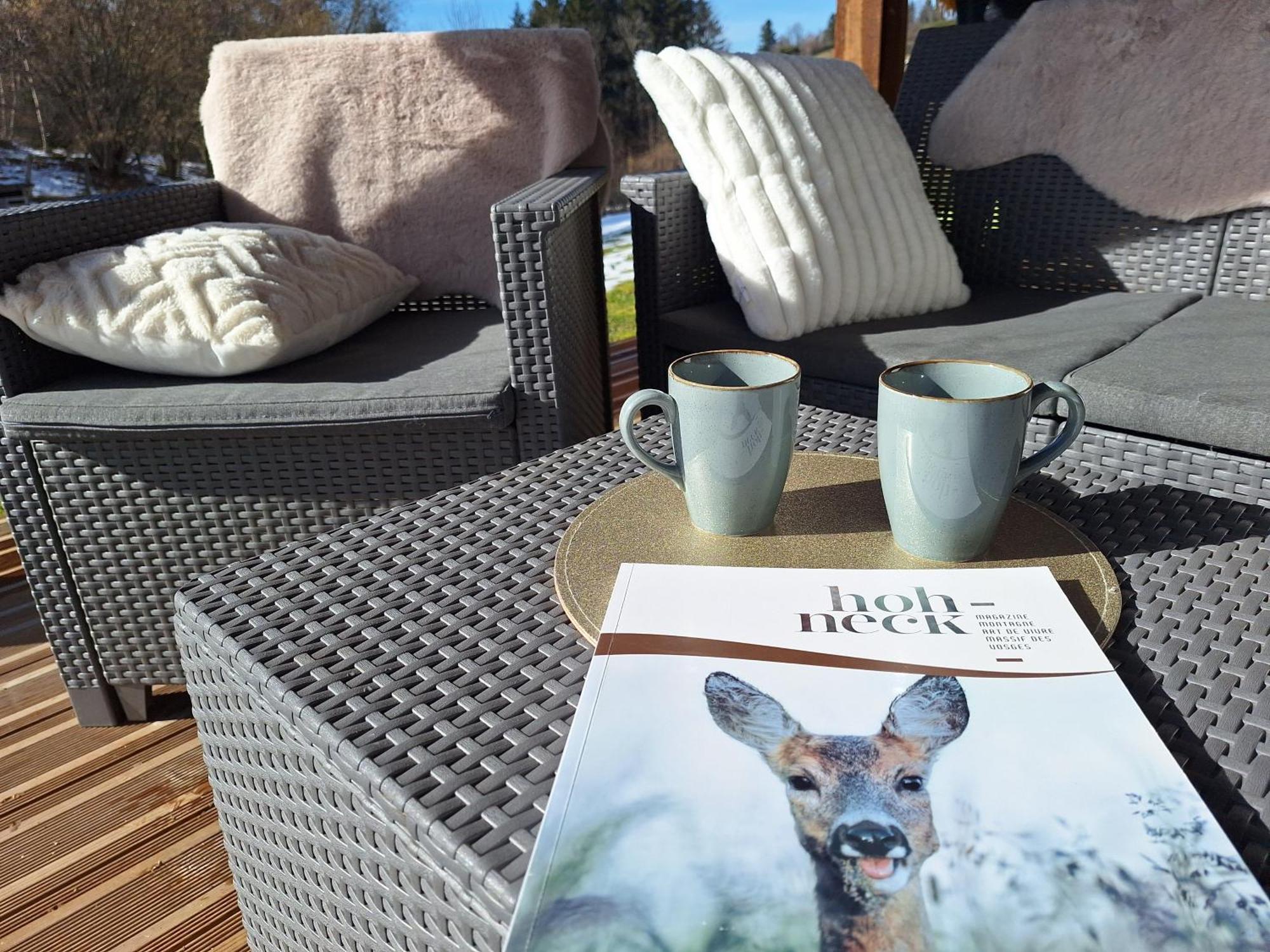 Chalet L'Appel De La Foret Gérardmer Dış mekan fotoğraf