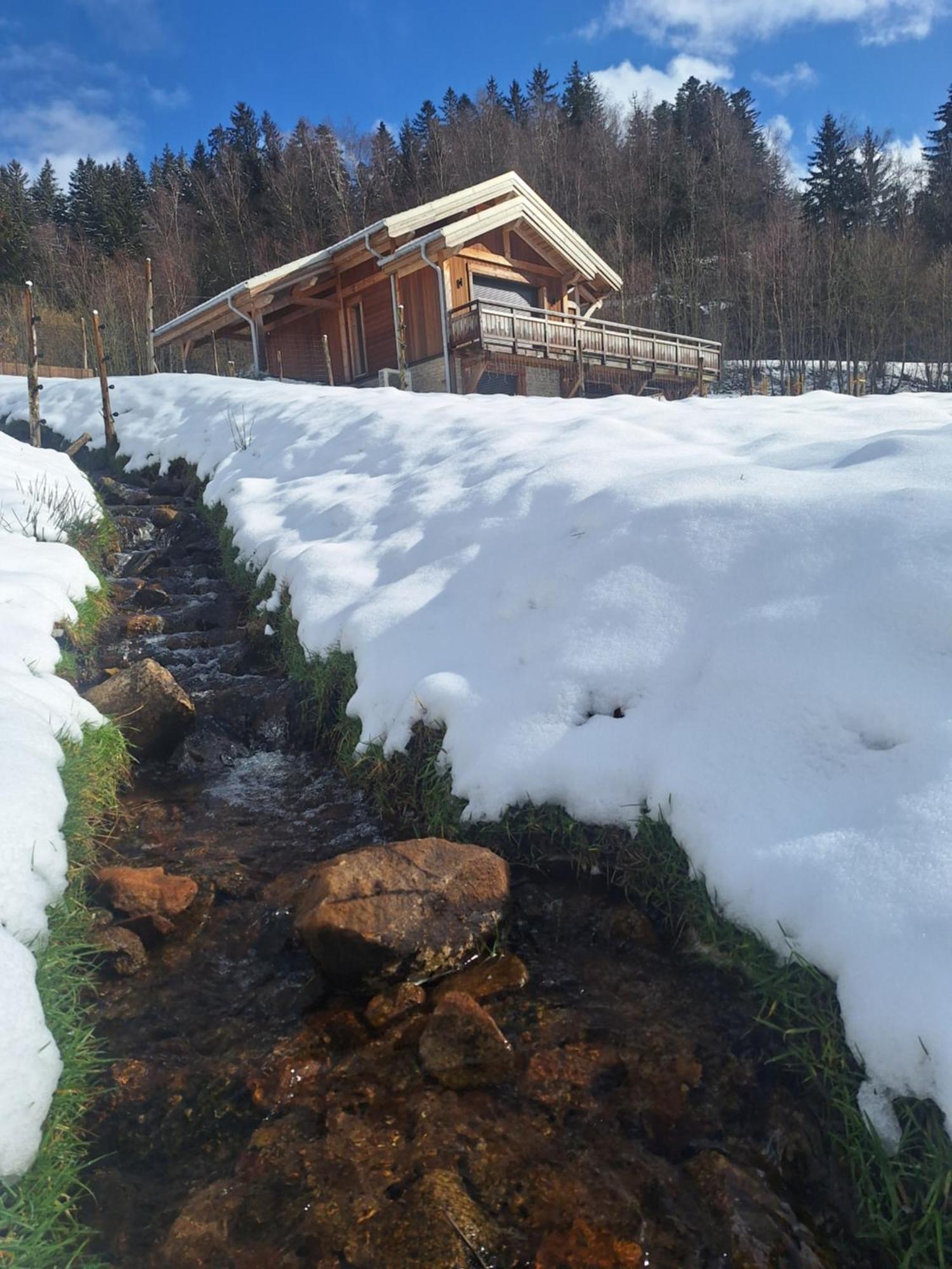 Chalet L'Appel De La Foret Gérardmer Dış mekan fotoğraf